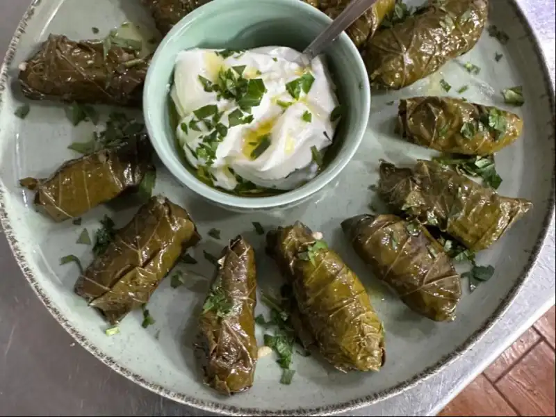Hand rolled vine leaves